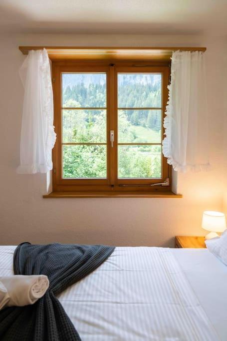 Appartement Peacefull Mountains View à Kandersteg Extérieur photo
