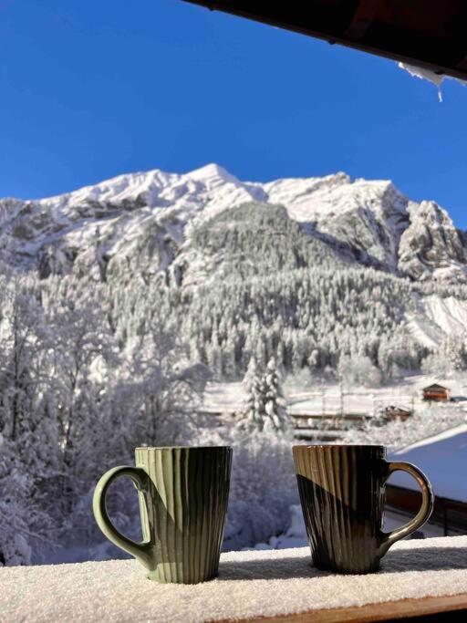 Appartement Peacefull Mountains View à Kandersteg Extérieur photo